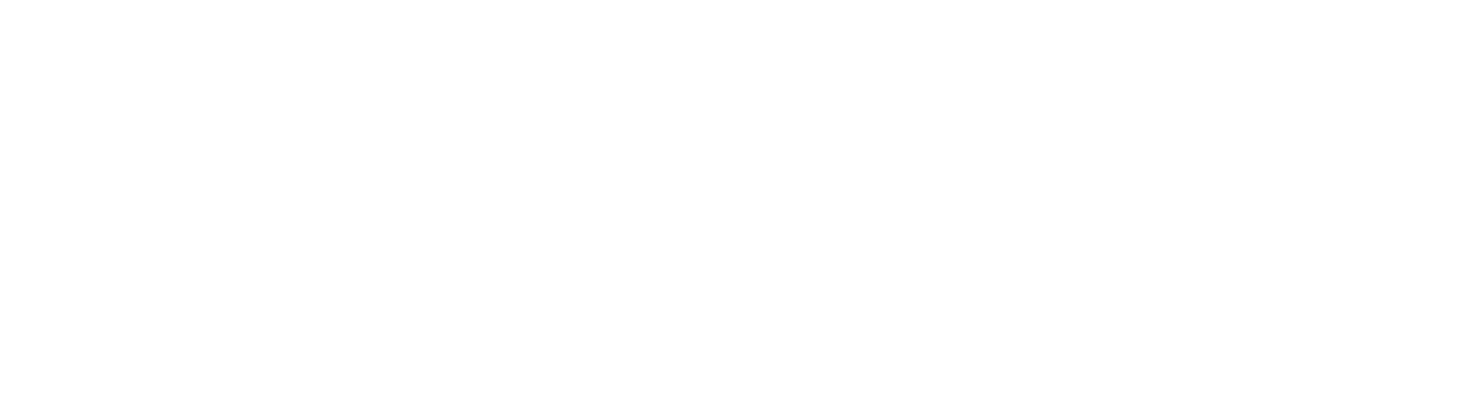 logoipsum-4.png